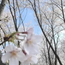 安顺旅游 缩略图 7