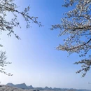 安顺旅游 缩略图 2