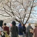 安顺旅游 缩略图 8