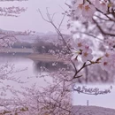 安顺旅游 缩略图 5