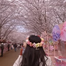 安顺旅游 缩略图 10