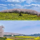 安顺旅游 缩略图 11