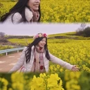 安顺旅游 缩略图 13