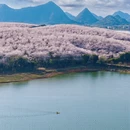 贵阳旅游 缩略图 2
