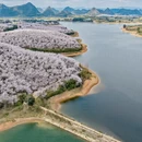 贵阳旅游 缩略图 3