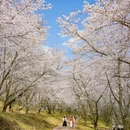 贵阳旅游 缩略图 7