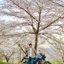 贵阳旅游 缩略图 8