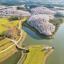贵阳旅游 缩略图 11
