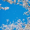 贵阳旅游 缩略图 10