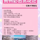 贵阳旅游 缩略图 1