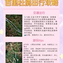 贵阳旅游 缩略图 6