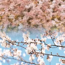 贵阳旅游 缩略图 1