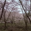 贵阳旅游 缩略图 4