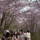贵阳旅游 缩略图 5