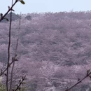 贵阳旅游 缩略图 14