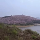 贵阳旅游 缩略图 12