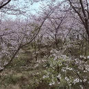 贵阳旅游 缩略图 7