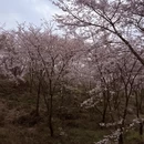 贵阳旅游 缩略图 6