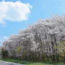 贵阳旅游 缩略图 4