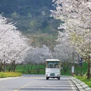 贵阳旅游 缩略图 6