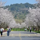 贵阳旅游 缩略图 5