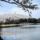 贵阳旅游 缩略图 4