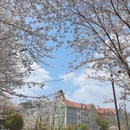 贵阳旅游 缩略图 7