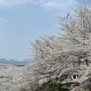 贵阳旅游 缩略图 2