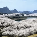 贵阳旅游 缩略图 1