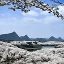 贵阳旅游 缩略图 3
