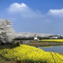 贵阳旅游 缩略图 6