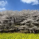 贵阳旅游 缩略图 5