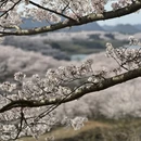 贵阳旅游 缩略图 4
