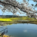 贵阳旅游 缩略图 9