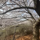 贵阳旅游 缩略图 3
