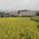 贵阳旅游 缩略图 4