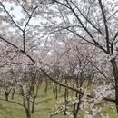 贵阳旅游 缩略图 5