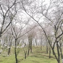 贵阳旅游 缩略图 6