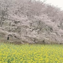 贵阳旅游 缩略图 8