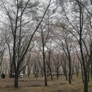贵阳旅游 缩略图 14