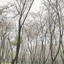 贵阳旅游 缩略图 12