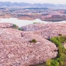 贵阳旅游 缩略图 4