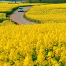 贵阳旅游 缩略图 11
