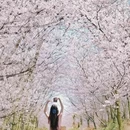 贵阳旅游 缩略图 6