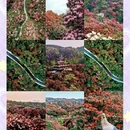 贵阳旅游 缩略图 8