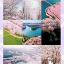 贵阳旅游 缩略图 7
