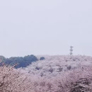 贵阳旅游 缩略图 1