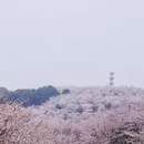 贵阳旅游 缩略图 3