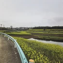 贵阳旅游 缩略图 11