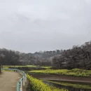 贵阳旅游 缩略图 9